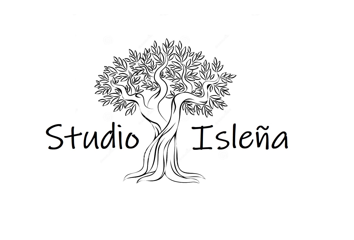 Studio Isleña